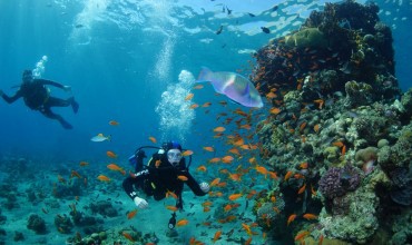 צלילת היכרות באילת 