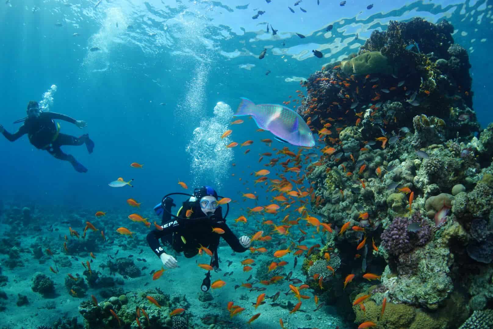 צלילת היכרות באילת 
