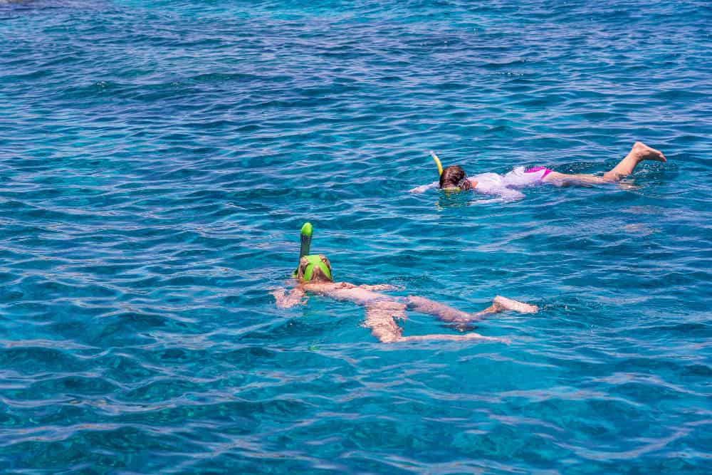 מתלבטים בין שנורקל או צלילה? היתרונות המובהקים של להיות מתחת למים