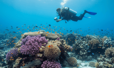 האם צלילה זה ספורט?