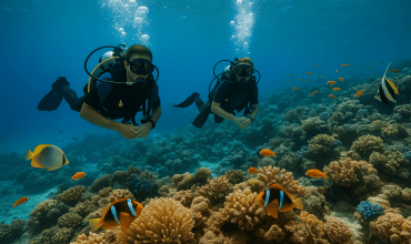 צלילות עומק מול צלילות רדודות