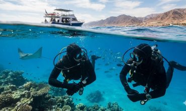 צלילה בחורף